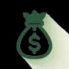 Capital Companion