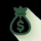 Capital Companion