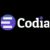Codia AI