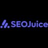 SEO Juice
