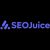 SEO Juice